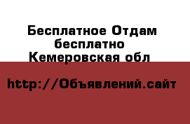 Бесплатное Отдам бесплатно. Кемеровская обл.